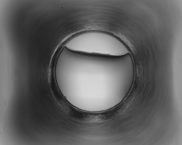 X0000100340488200806051228