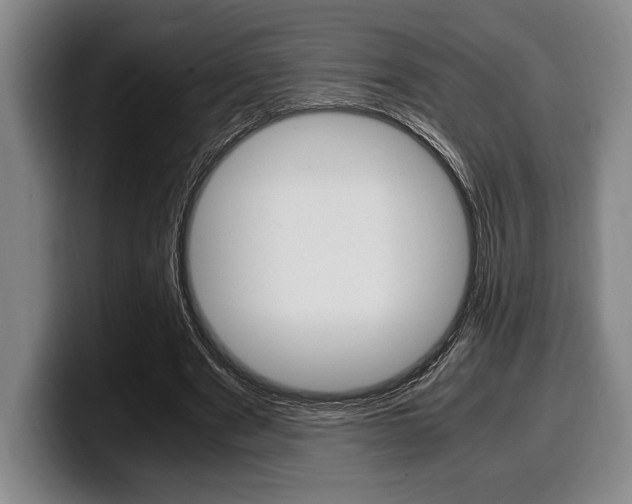 X0000100340489200806051228