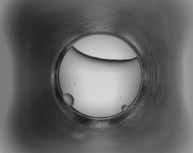 X0000100340491200806051228