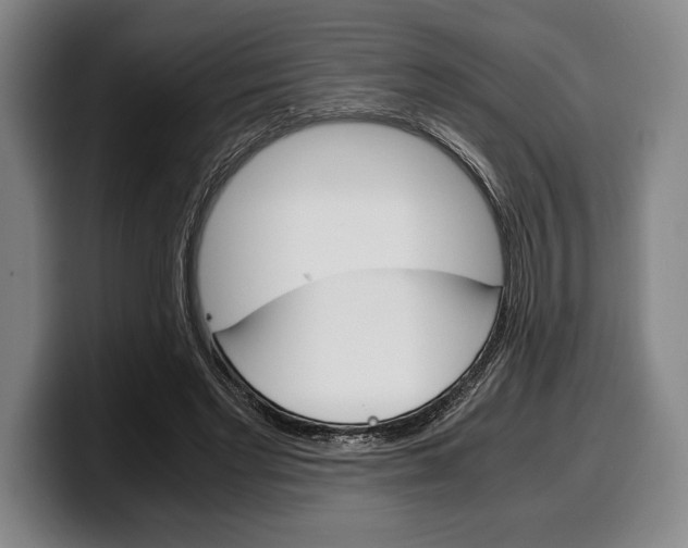 X0000100340493200806051228