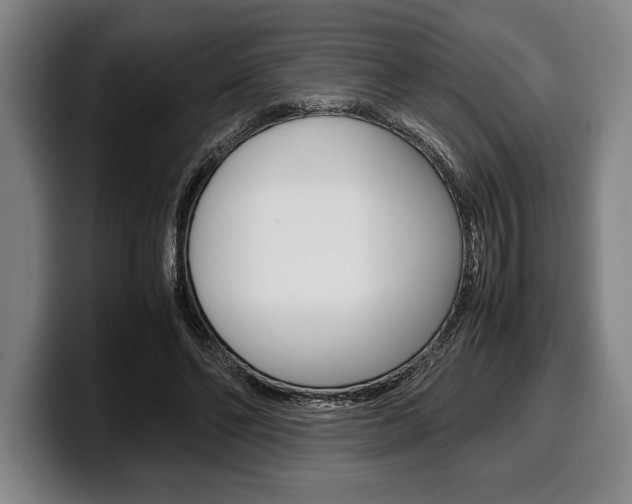 X0000100340494200806051228