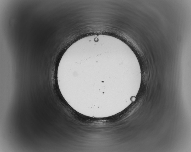 X0000100340497200806051228