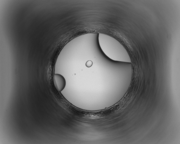 X0000100340498200806051228