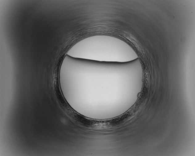 X0000100340499200806051228