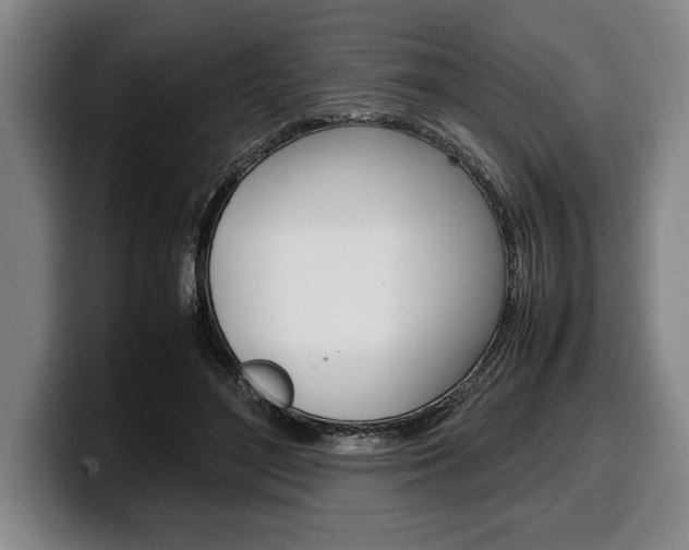 X0000100340500200806051228