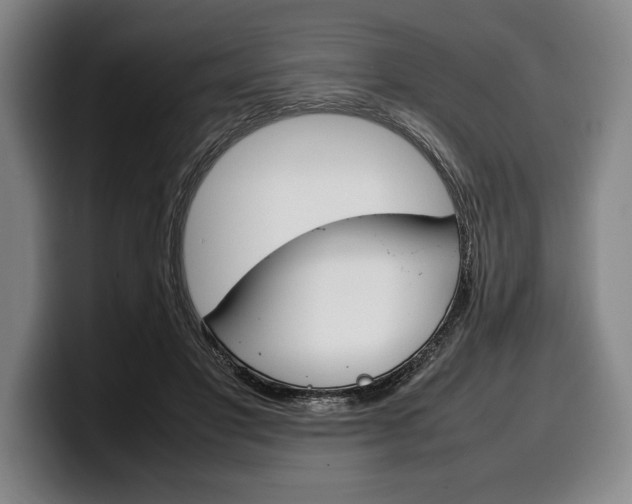 X0000100340501200806051228