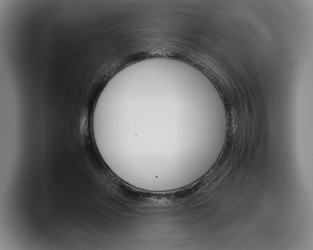 X0000100340502200806051228