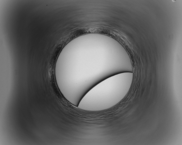 X0000100340503200806051228