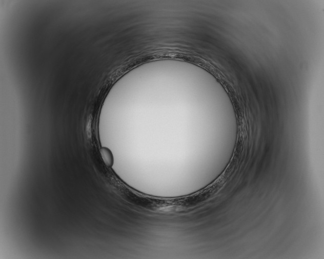 X0000100340504200806051228