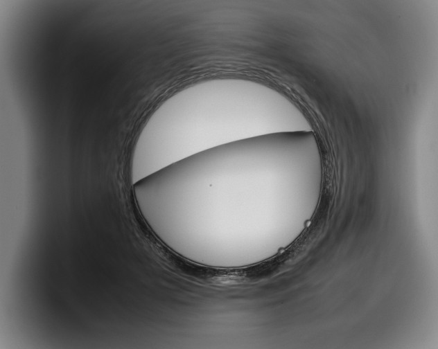 X0000100340505200806051228