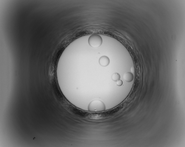 X0000100340507200806051228