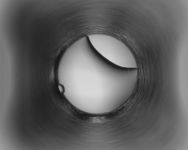X0000100340508200806051228