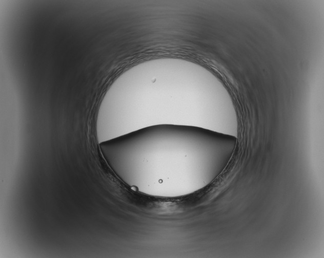 X0000100340509200806051228