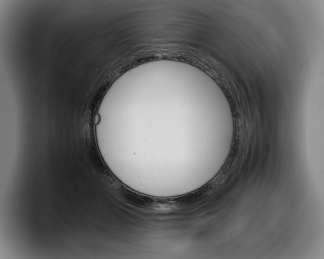 X0000100340510200806051228