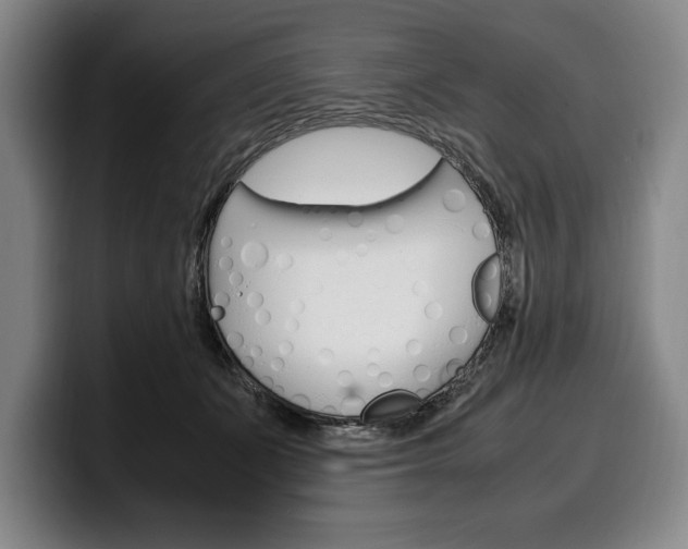 X0000100340511200806051228