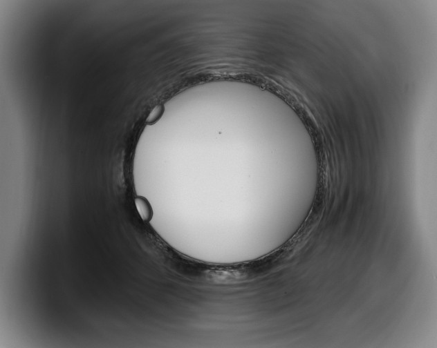 X0000100340512200806051228