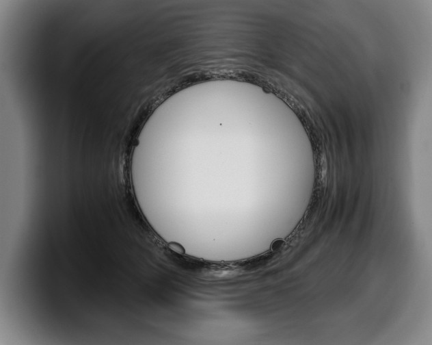 X0000100340514200806051228