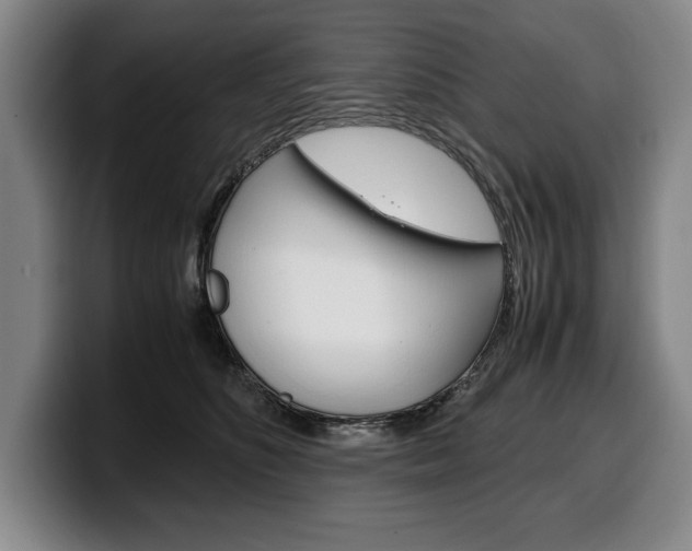 X0000100340516200806051228