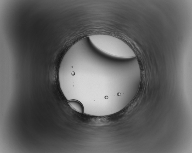 X0000100340517200806051228