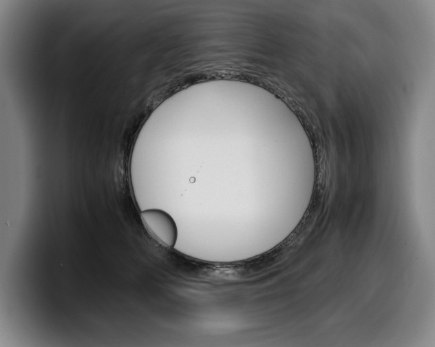X0000100340518200806051227