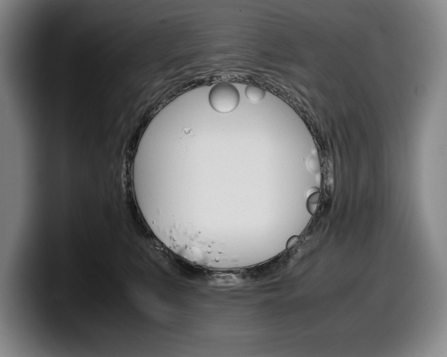 X0000100340519200806051227