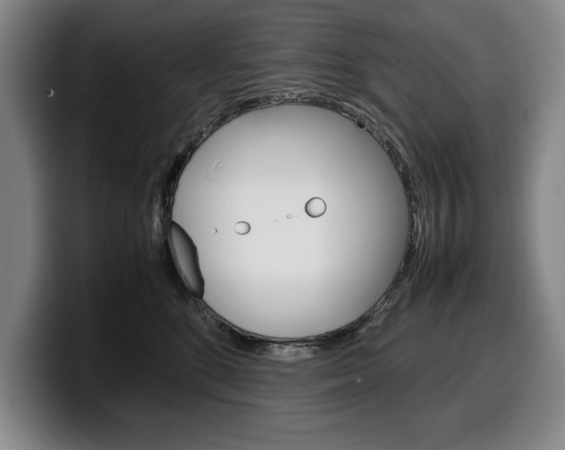 X0000100340520200806051227
