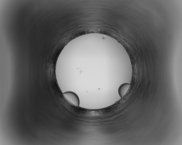 X0000100340522200806051227