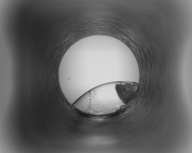 X0000100340523200806051227