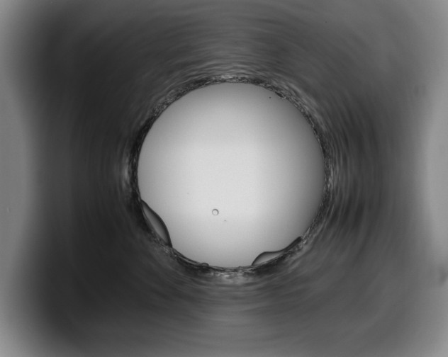 X0000100340524200806051227