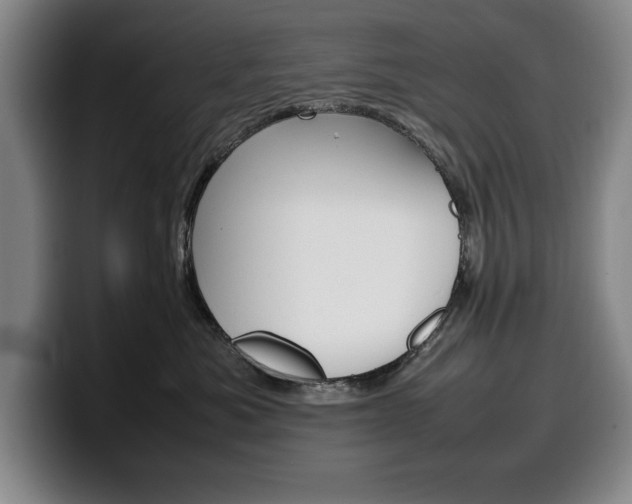 X0000100340525200806051227