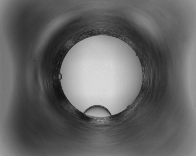X0000100340526200806051227