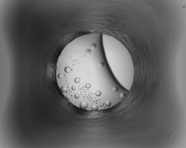 X0000100340527200806051227