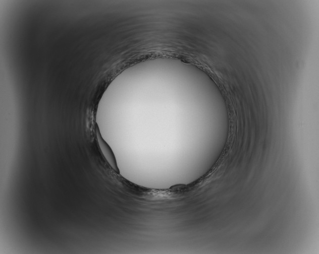 X0000100340528200806051227