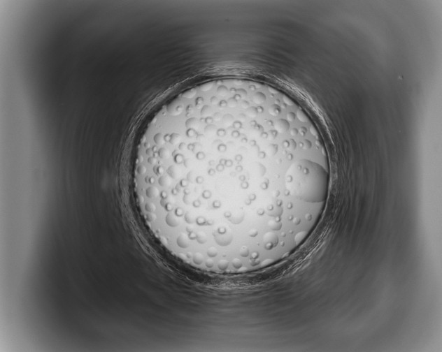 X0000100340529200806051227