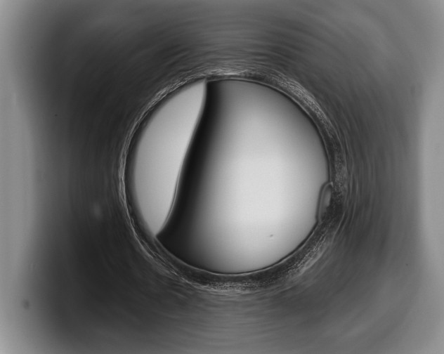 X0000100340530200806051227