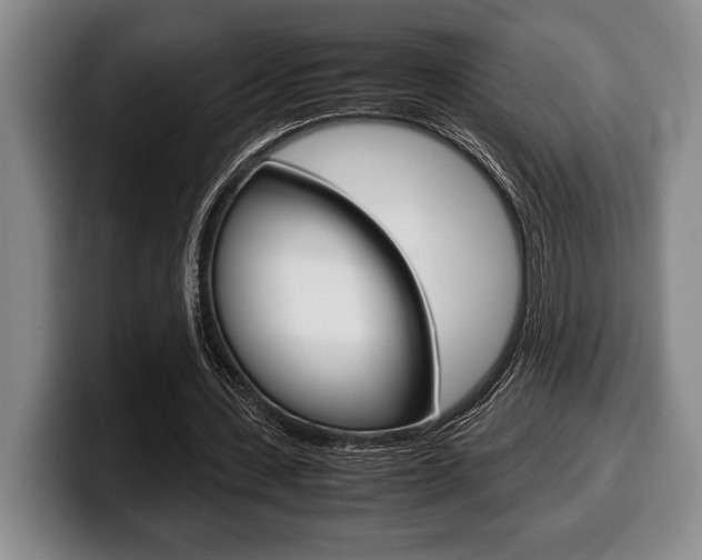 X0000100340531200806051227