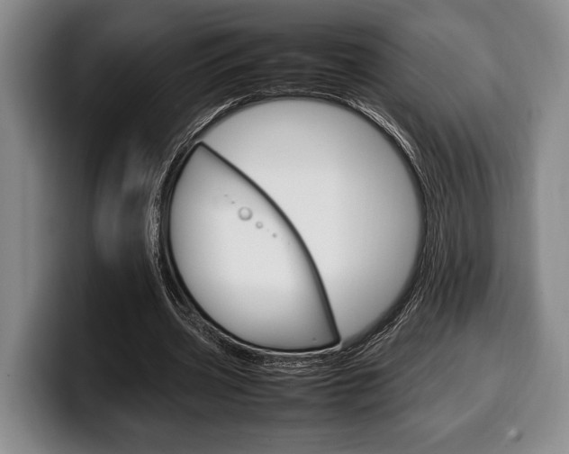 X0000100340533200806051227