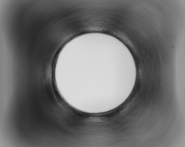 X0000100340534200806051227