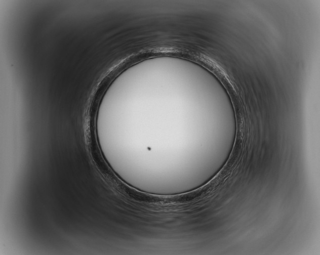 X0000100340535200806051227