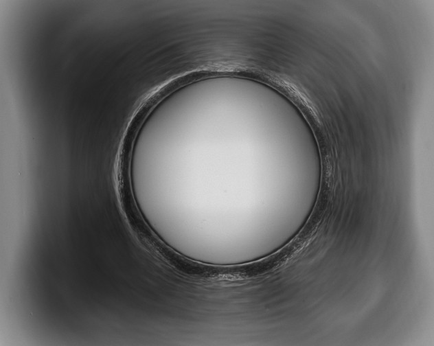 X0000100340536200806051227