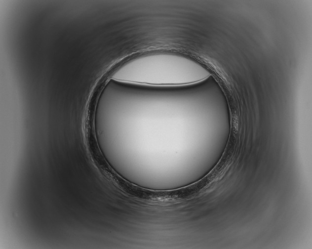 X0000100340540200806051227