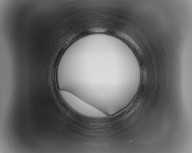 X0000100340541200806051227