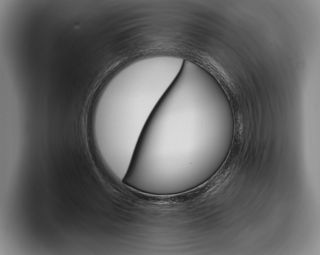 X0000100340542200806051227