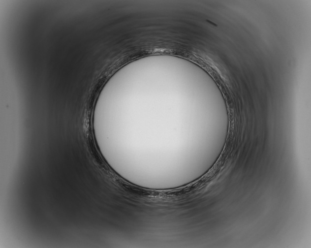X0000100340545200806051227