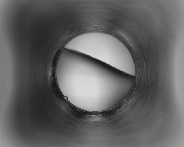 X0000100340548200806051227
