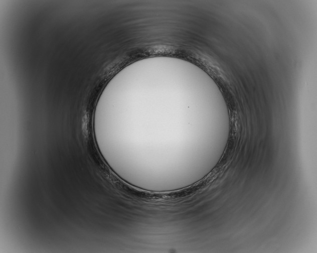 X0000100340550200806051227