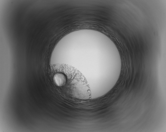 X0000100340555200806051227