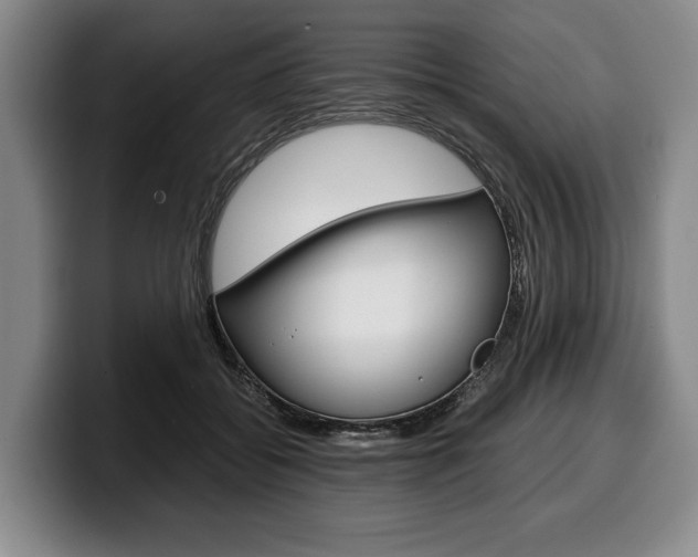 X0000100340556200806051227