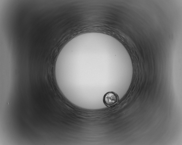 X0000100340558200806051227