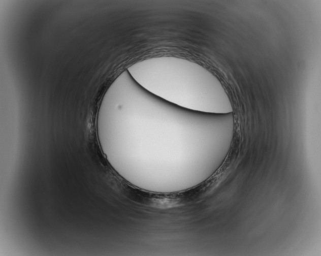 X0000100340561200806051227